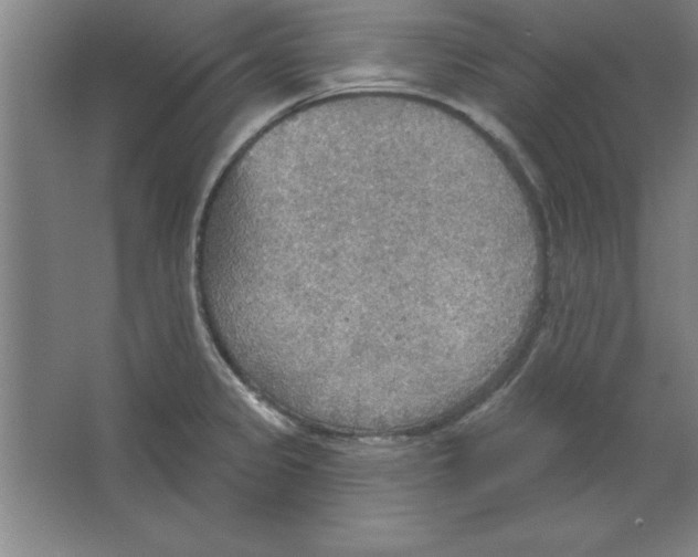 X0000067471333200604281844