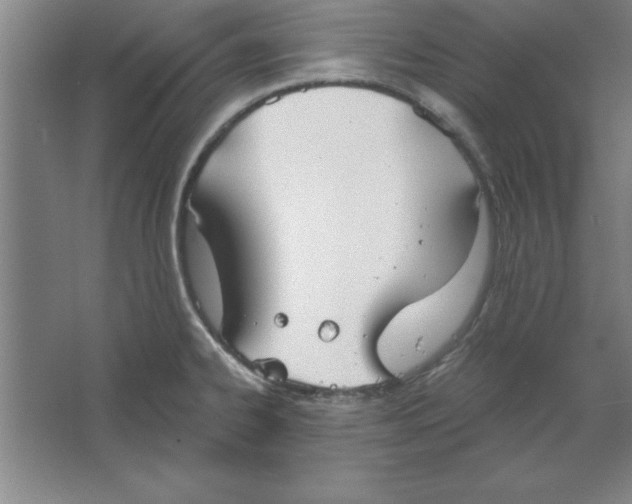 X0000067471334200604281844