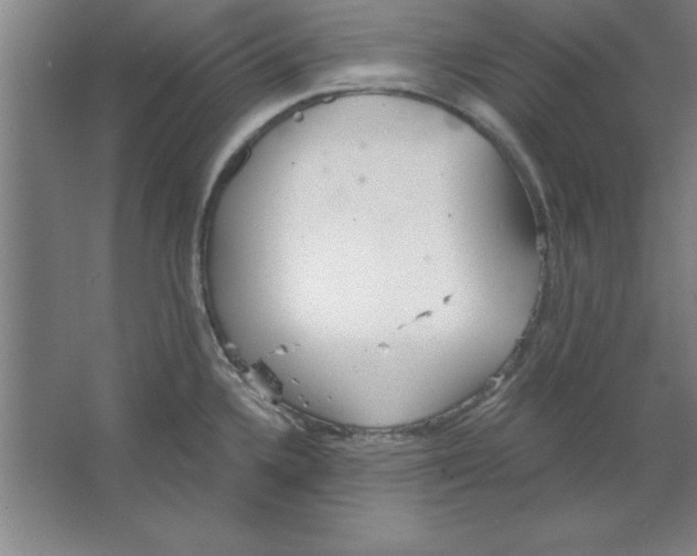 X0000067471336200604281844