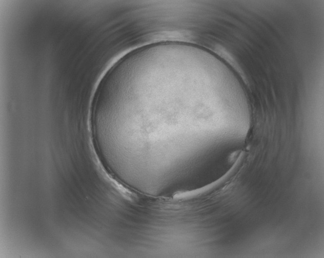 X0000067471339200604281844