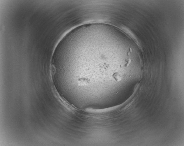 X0000067471340200604281844