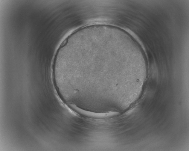 X0000067471341200604281844