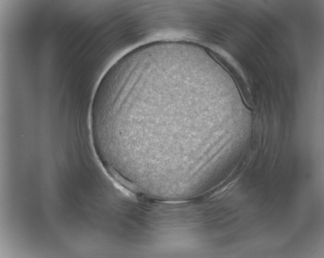 X0000067471343200604281844