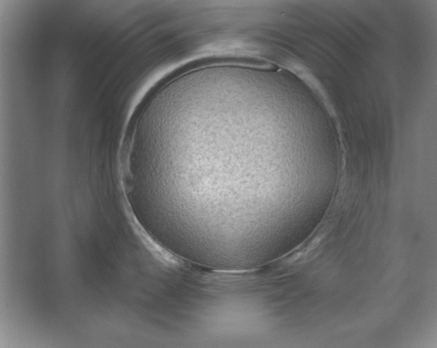 X0000067471344200604281844