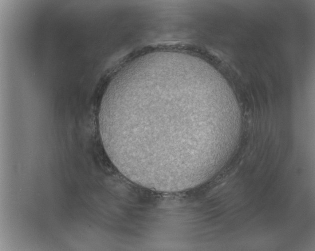 X0000067471350200604281843