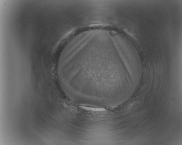 X0000067471351200604281843