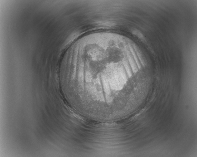 X0000067471354200604281843