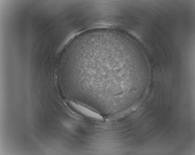 X0000067471355200604281843