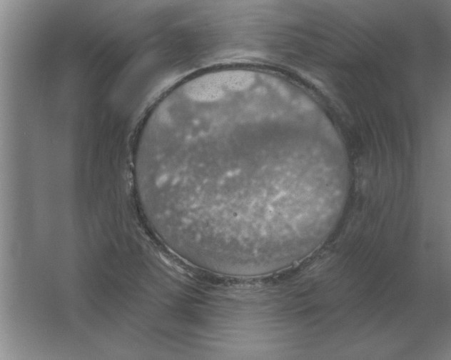 X0000067471363200604281843