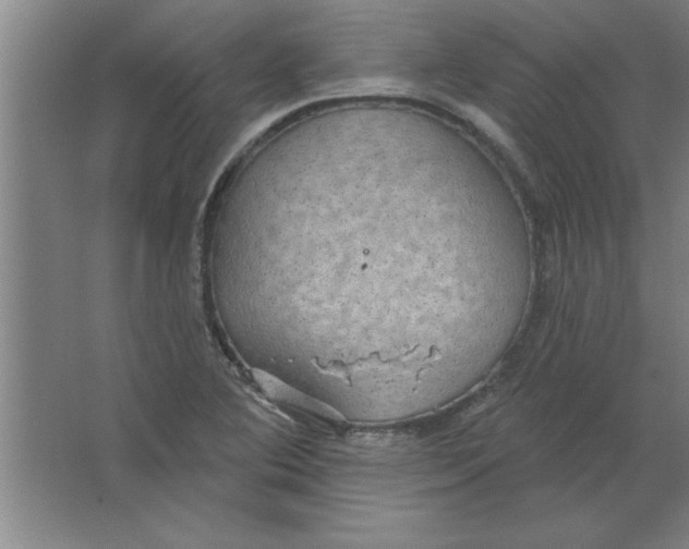 X0000067471364200604281843