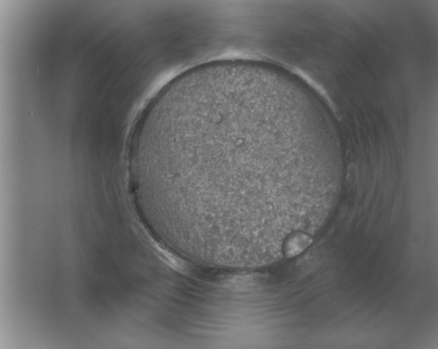 X0000067471367200604281843