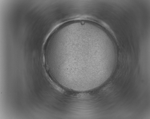 X0000067471368200604281843