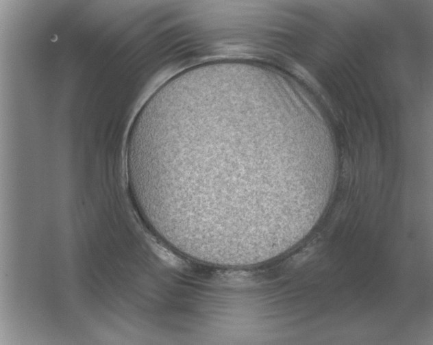 X0000067471370200604281843