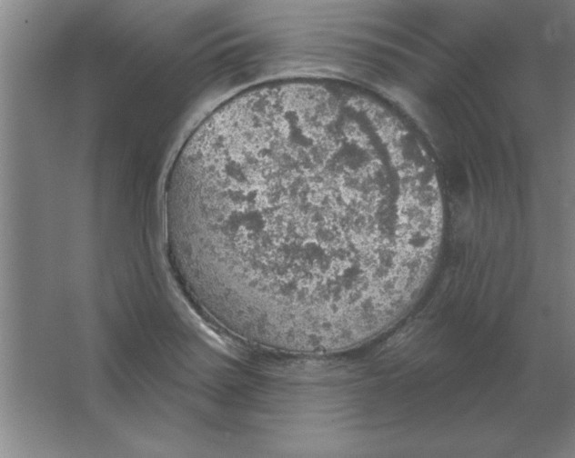 X0000067471371200604281843