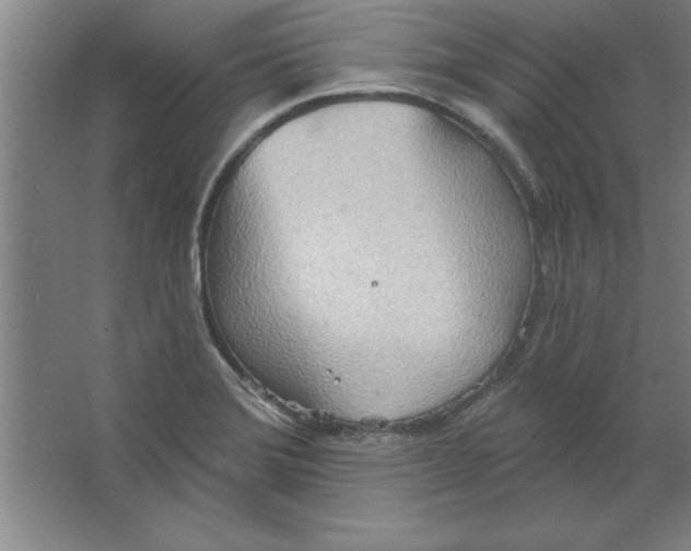 X0000067471372200604281843