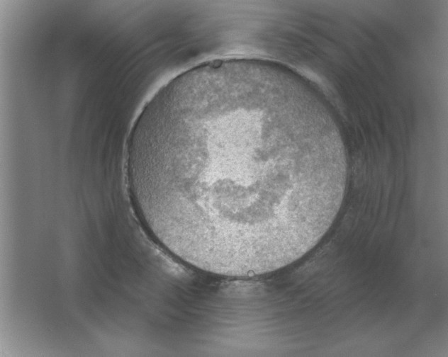 X0000067471374200604281843