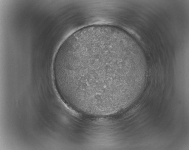 X0000067471375200604281843