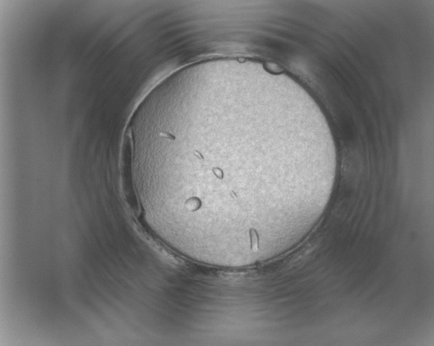 X0000067471378200604281843