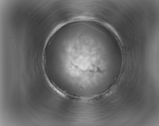 X0000067471381200604281843