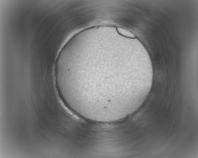 X0000067471382200604281843