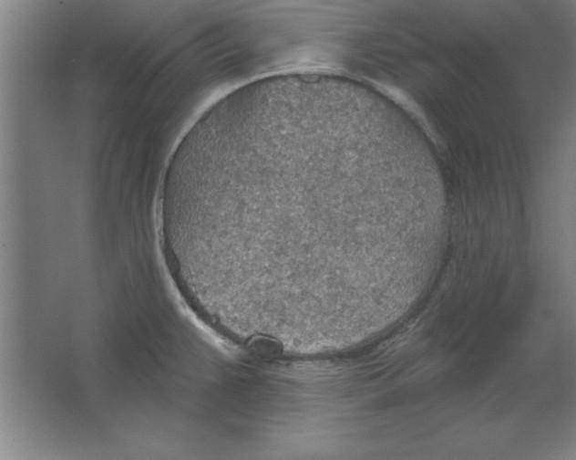 X0000067471383200604281843