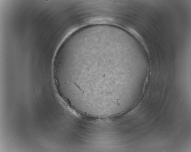 X0000067471384200604281843