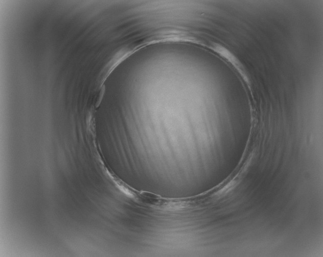 X0000067471385200604281843