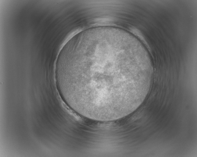 X0000067471386200604281843