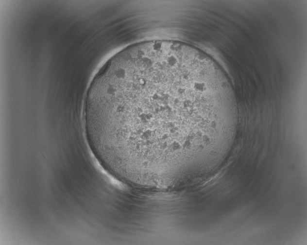 X0000067471387200604281843