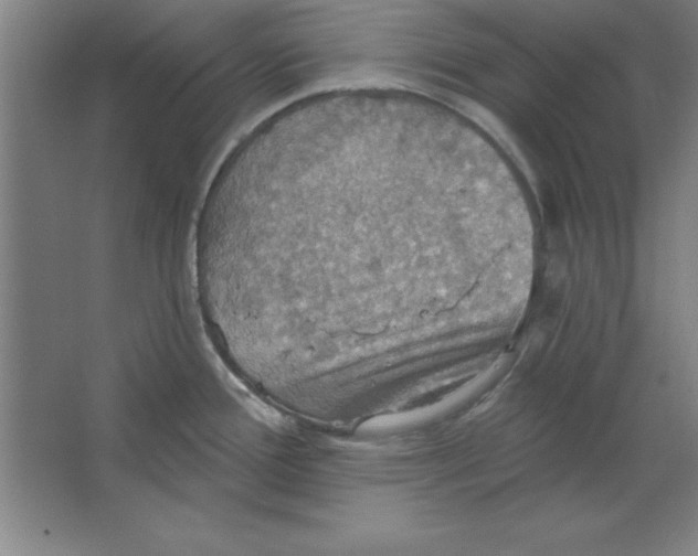 X0000067471388200604281843