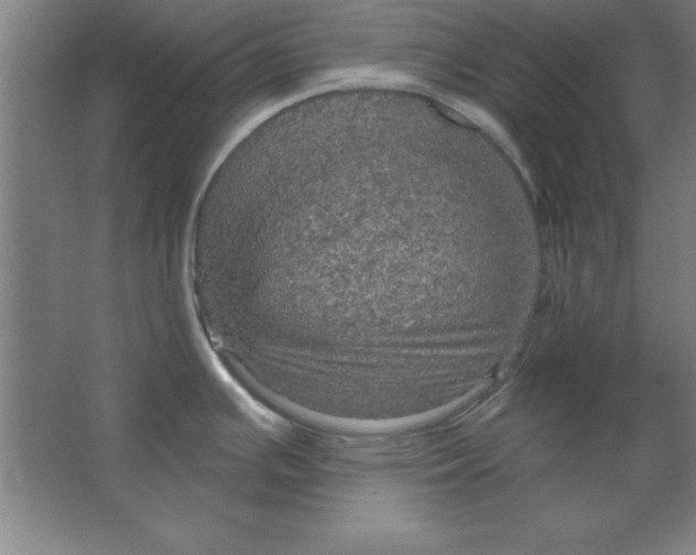 X0000067471391200604281843