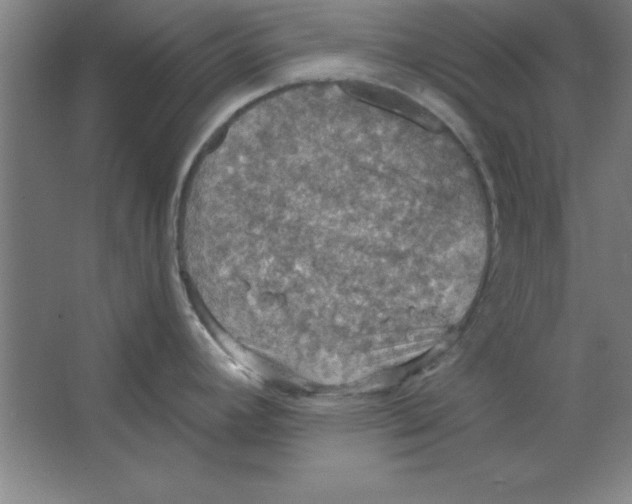 X0000067471392200604281843