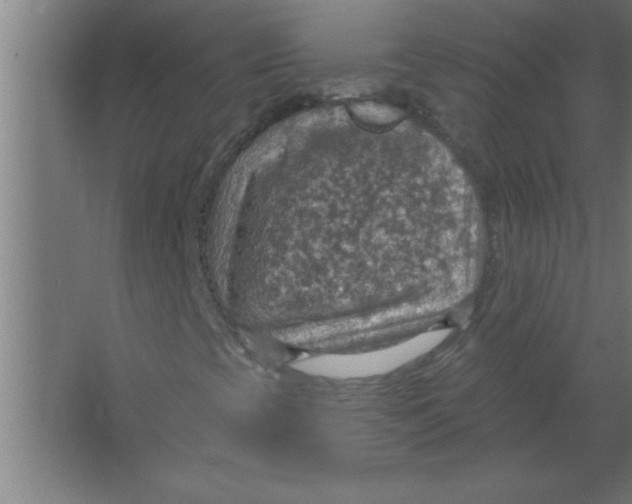 X0000067471393200604281842