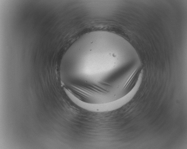 X0000067471394200604281842