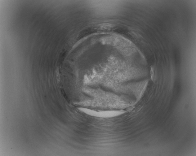 X0000067471395200604281842