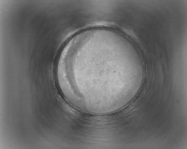 X0000067471404200604281842