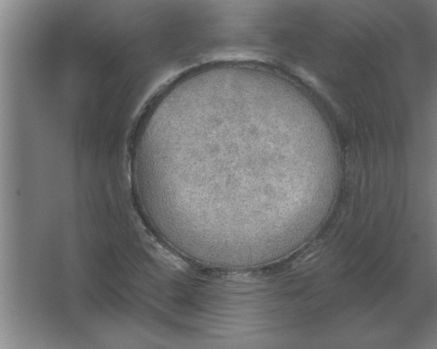 X0000067471408200604281842