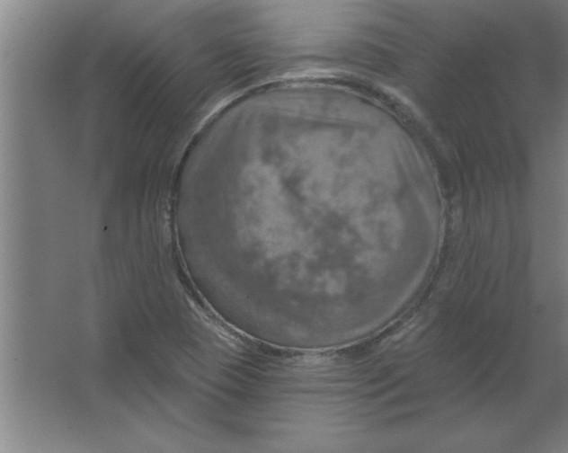 X0000067471409200604281842