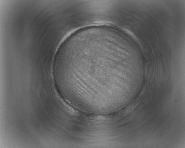 X0000067471412200604281842