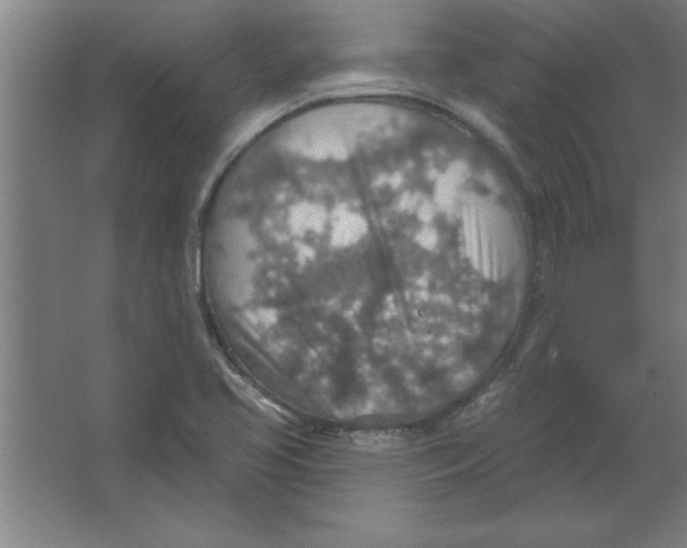 X0000067471413200604281842