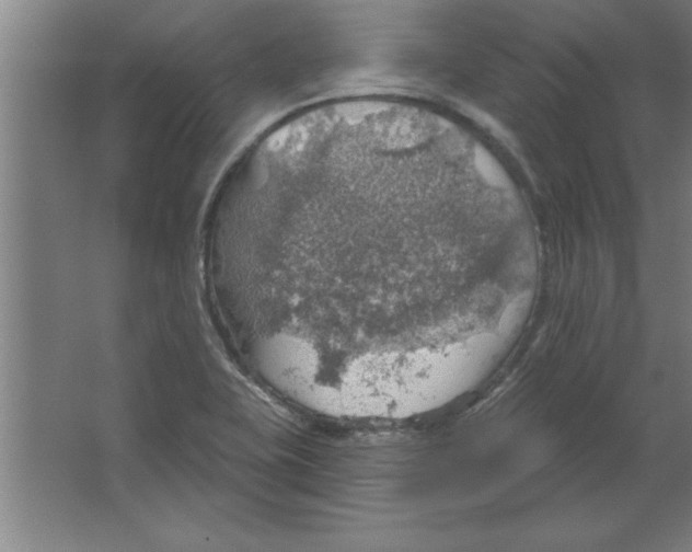 X0000067471415200604281842