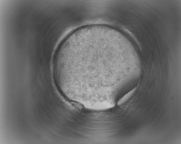 X0000067471416200604281842