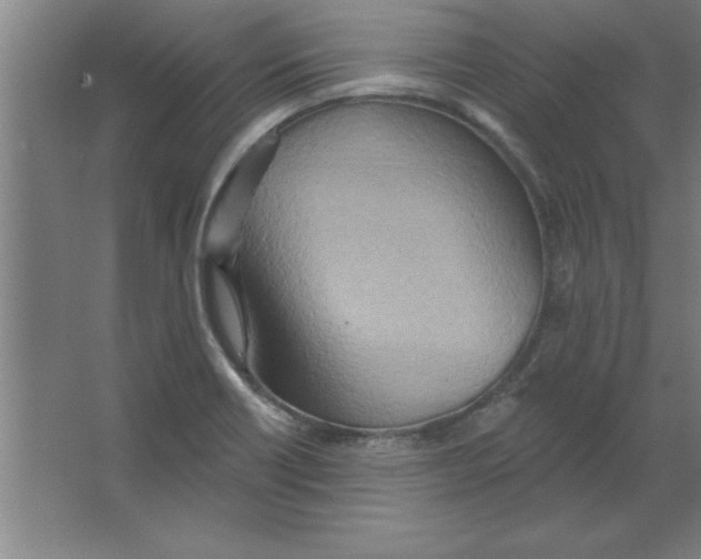 X0000067471418200604281842