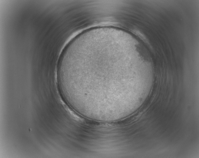 X0000067471420200604281842