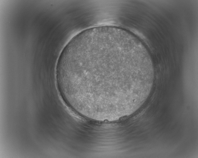 X0000067471423200604281842