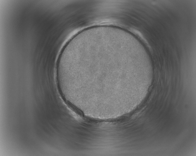 X0000067471424200604281842