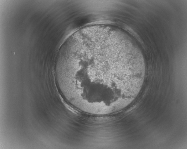 X0000067471425200604281842