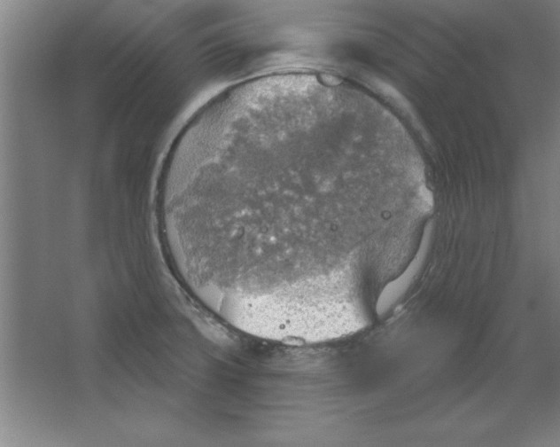 X0000067471427200604281842