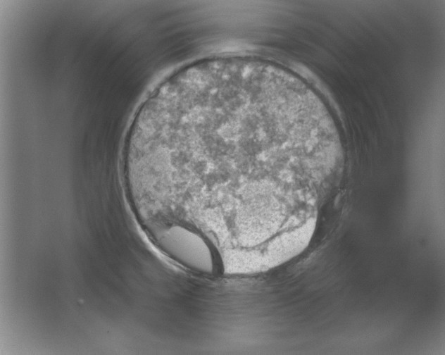 X0000067471429200604281842