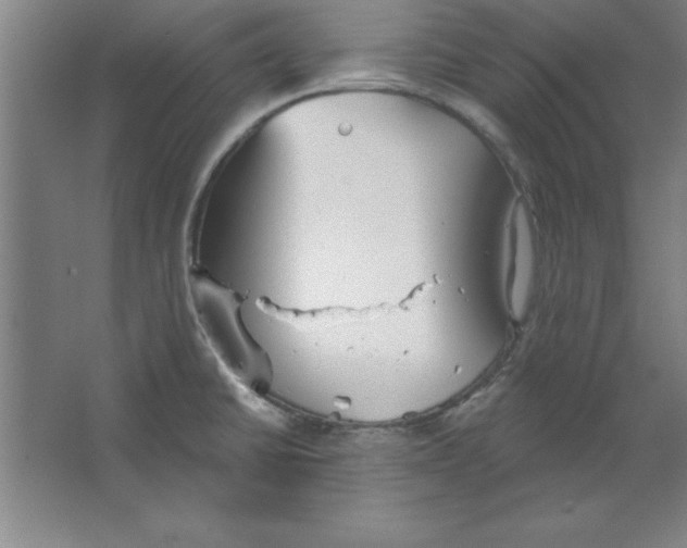 X0000067471430200604281842